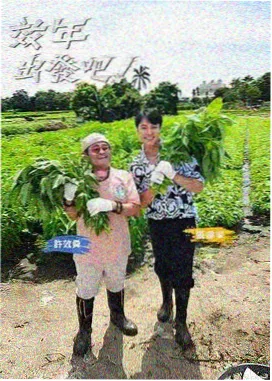 一区免费视频 声音的旅行 综艺剧照